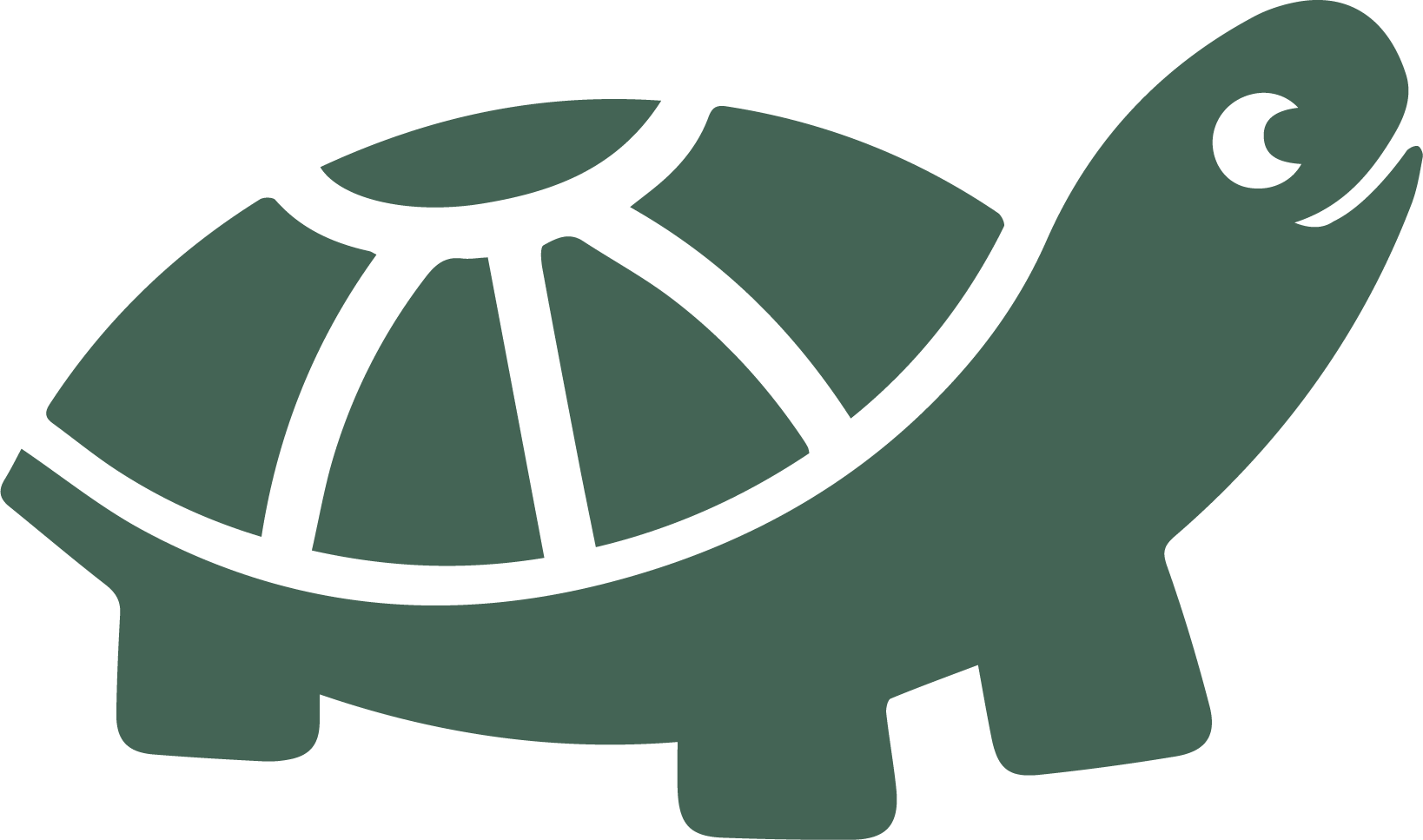NoToxTots turtle